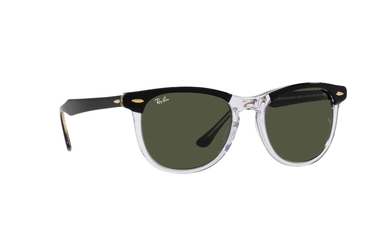 Ray-Ban Eagleeye