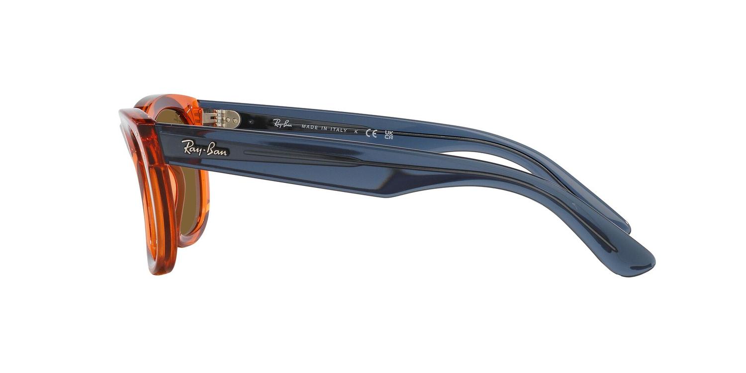 Ray-Ban Wayfarer Reverse