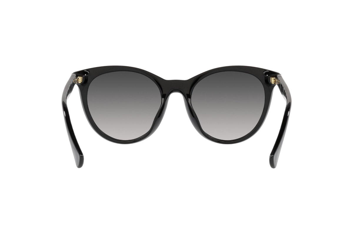 Ralph Lentes de Sol