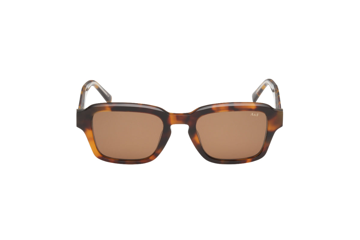 Abercrombie & Fitch Lentes de Sol AF00036