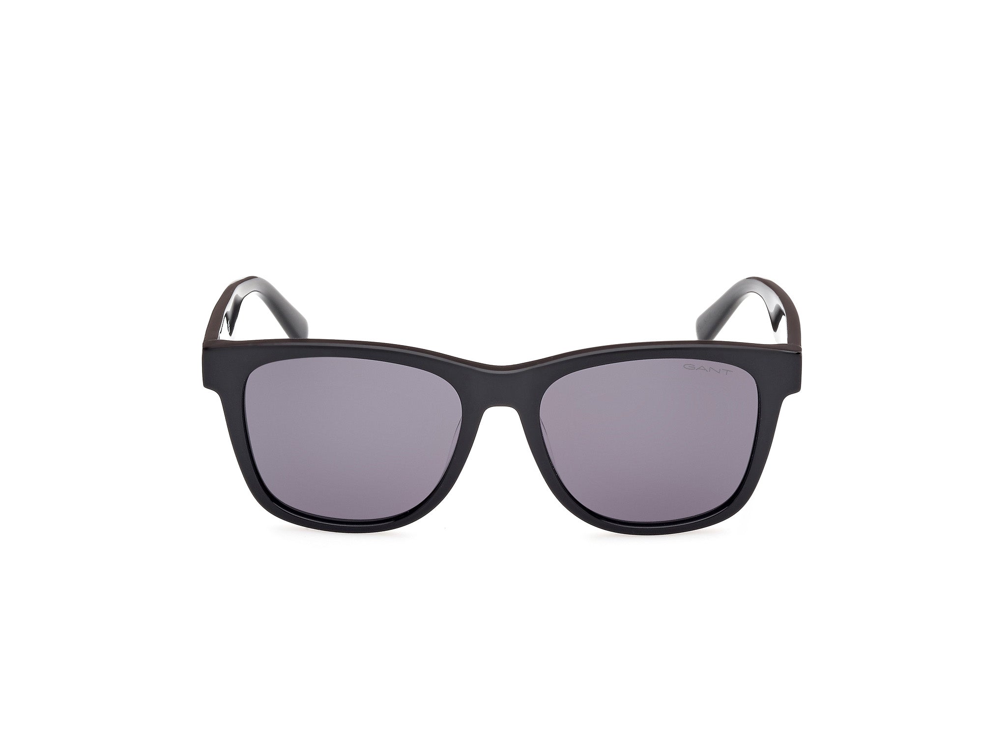 Gant Lentes de Sol GA00003
