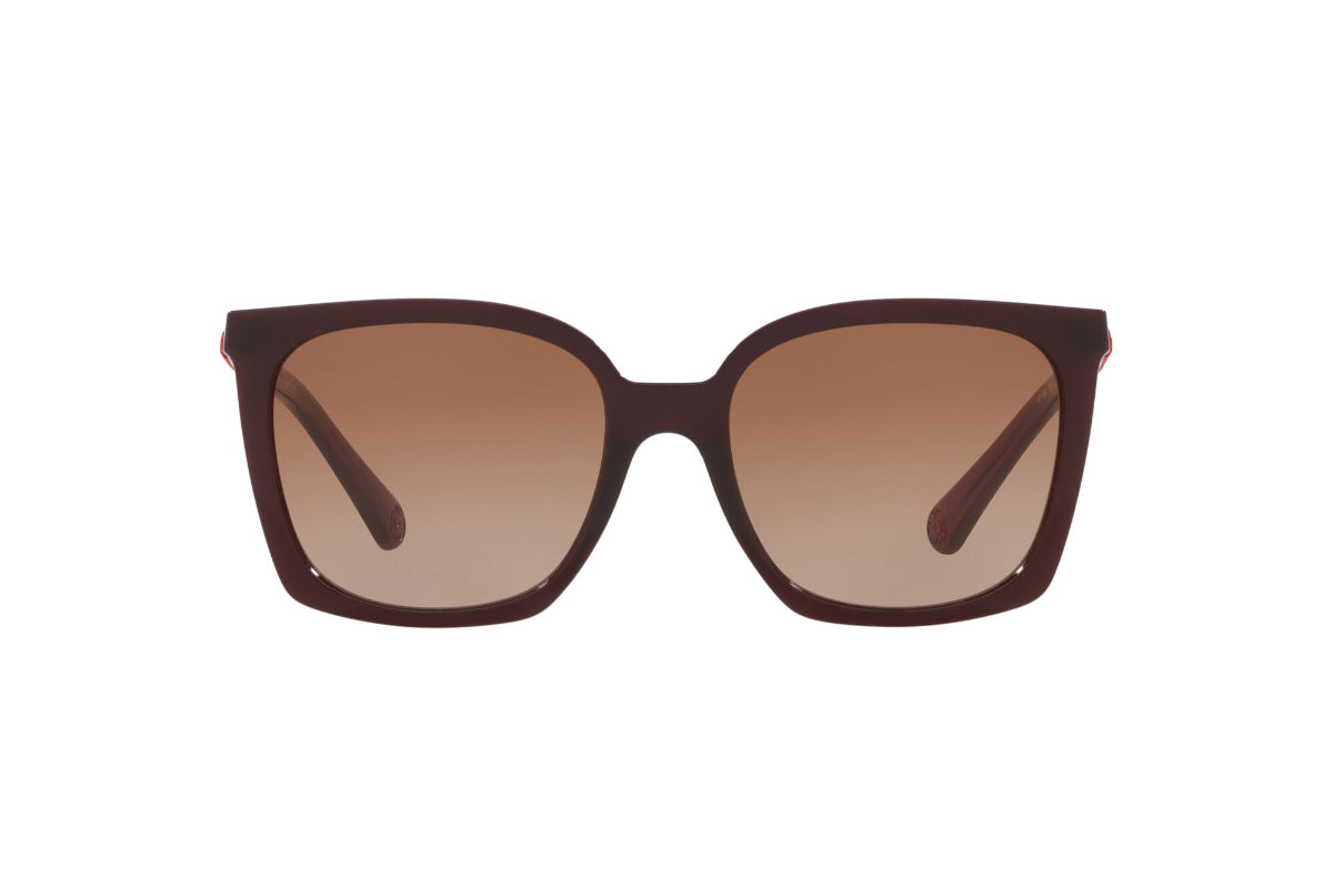 Kipling Lentes de Sol