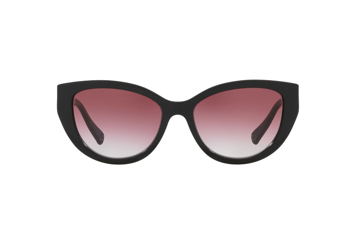 Kipling Lentes de Sol