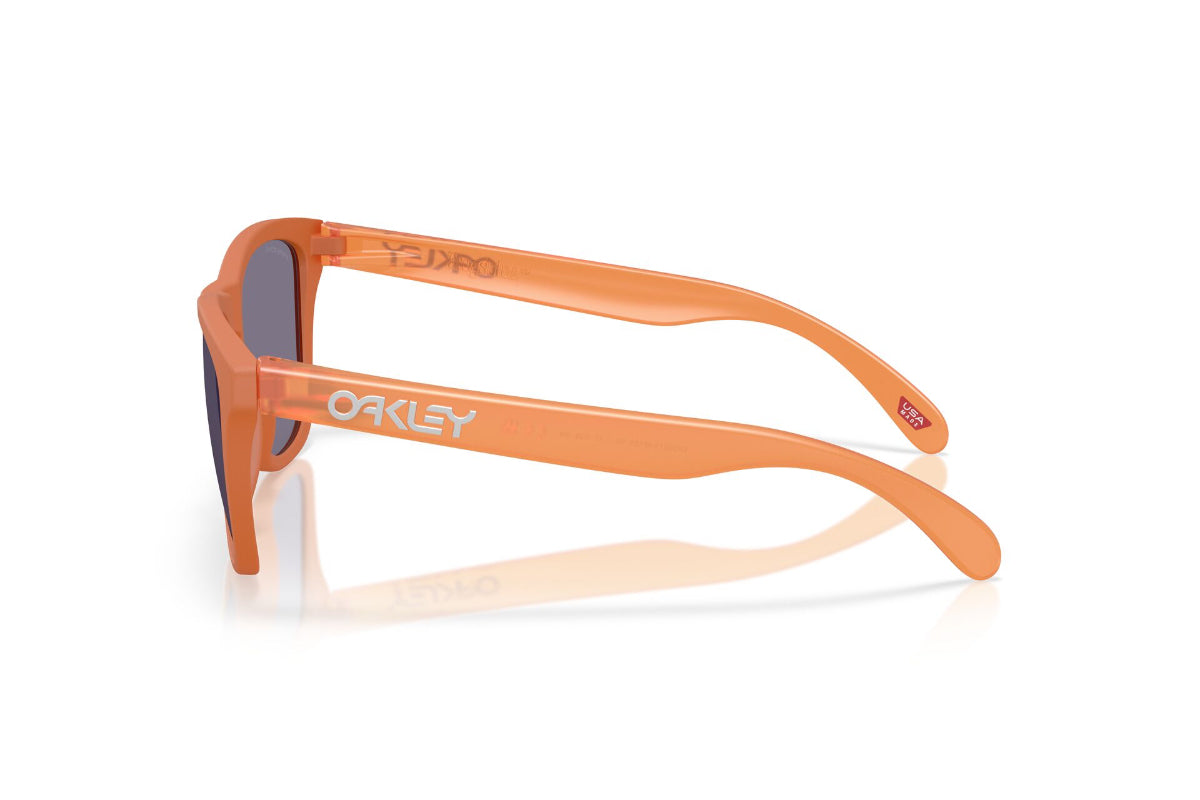 Oakley Frogskins Prizm -NOVEDAD