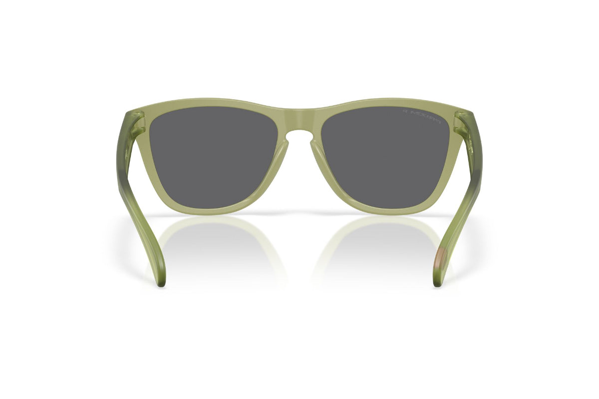 Oakley Frogskins Prizm Polarizados -NOVEDAD