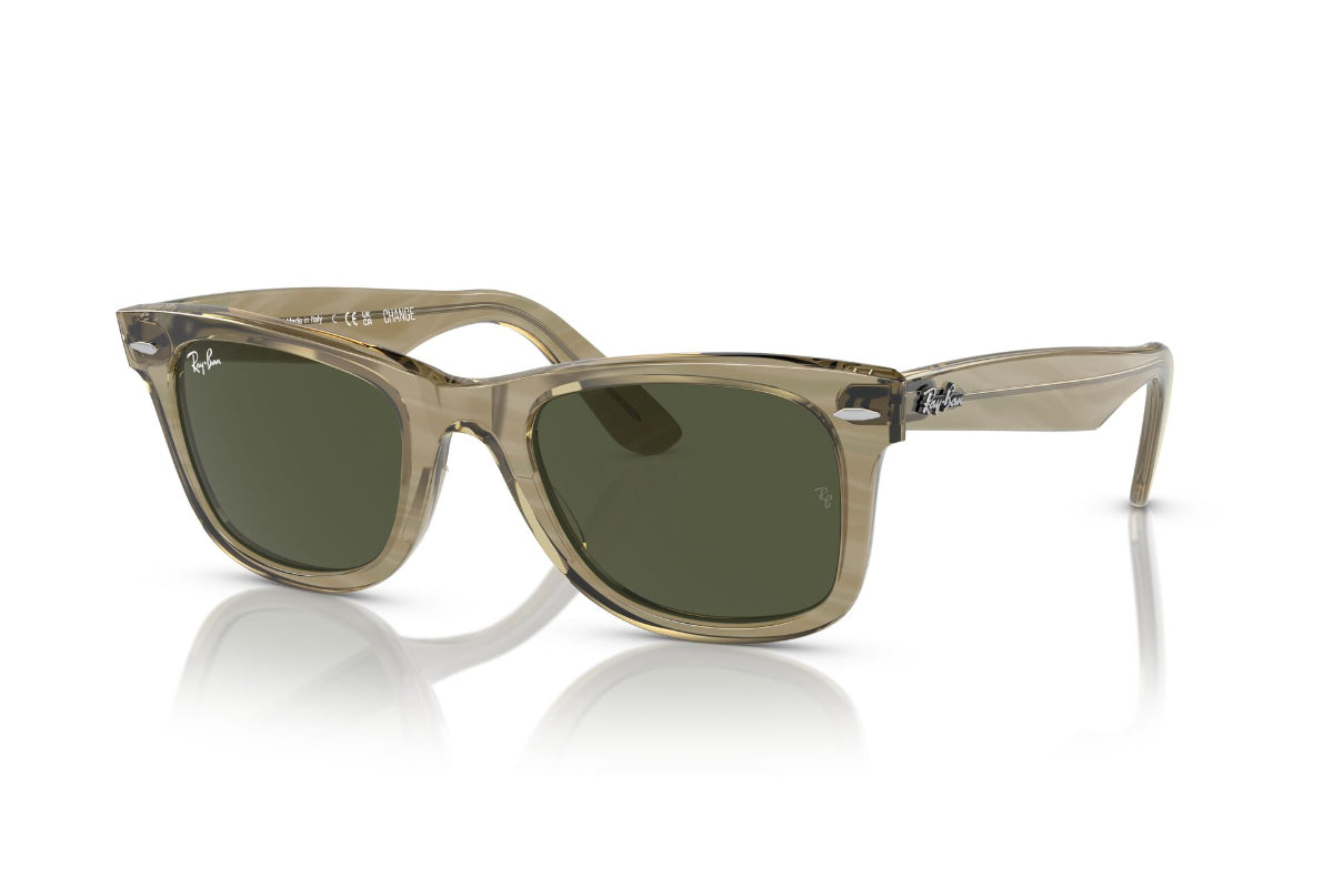 Ray-Ban Wayfarer