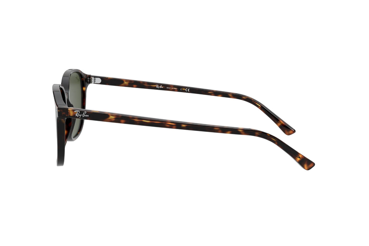 Ray-Ban Lentes de Sol Leonard RB2193