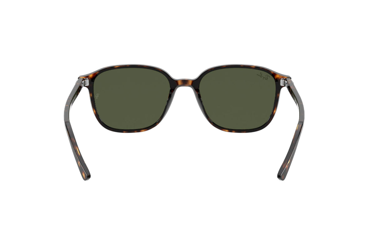 Ray-Ban Lentes de Sol Leonard RB2193