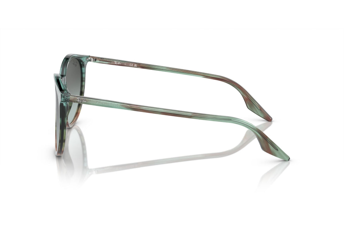 Ray-Ban Lentes de Sol RB2204