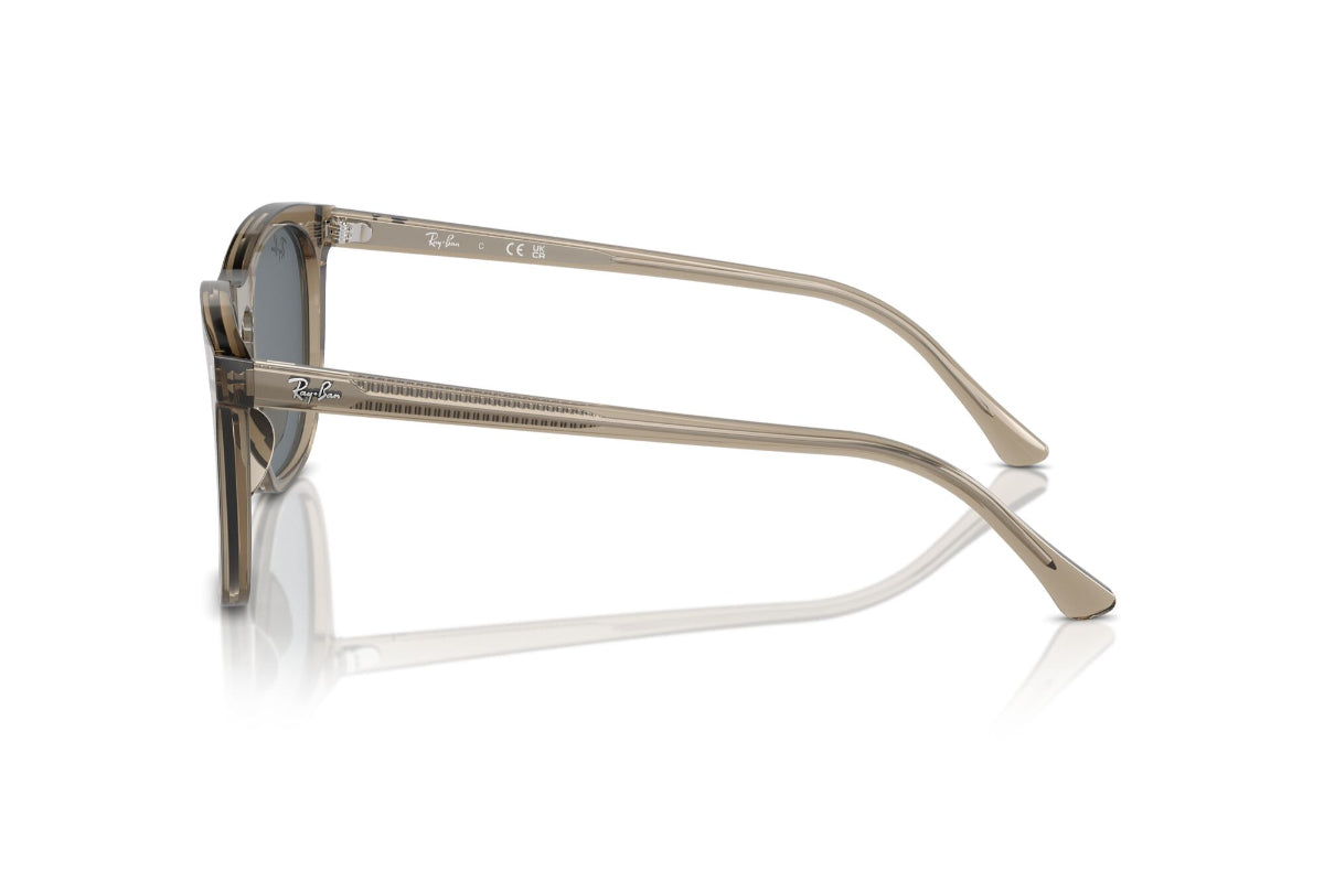 Ray-Ban Lentes de Sol RB2210