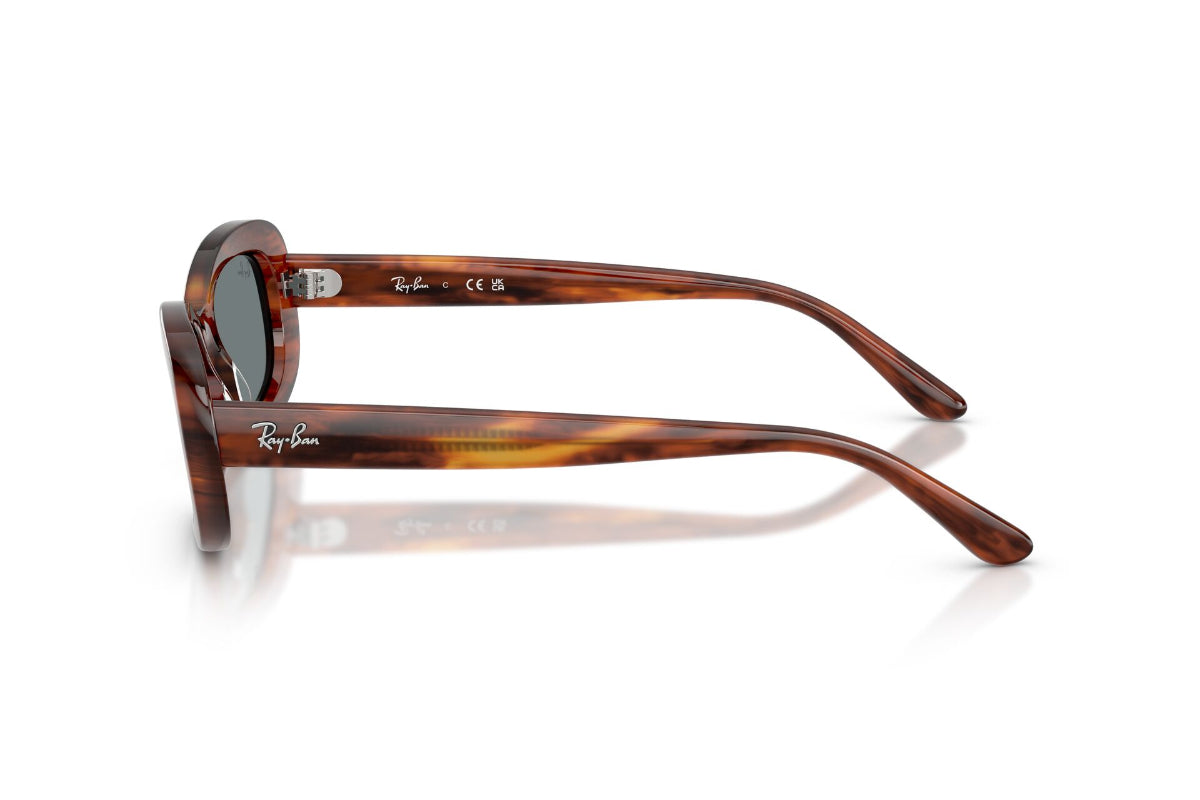 Ray-Ban Lentes de Sol RB2221