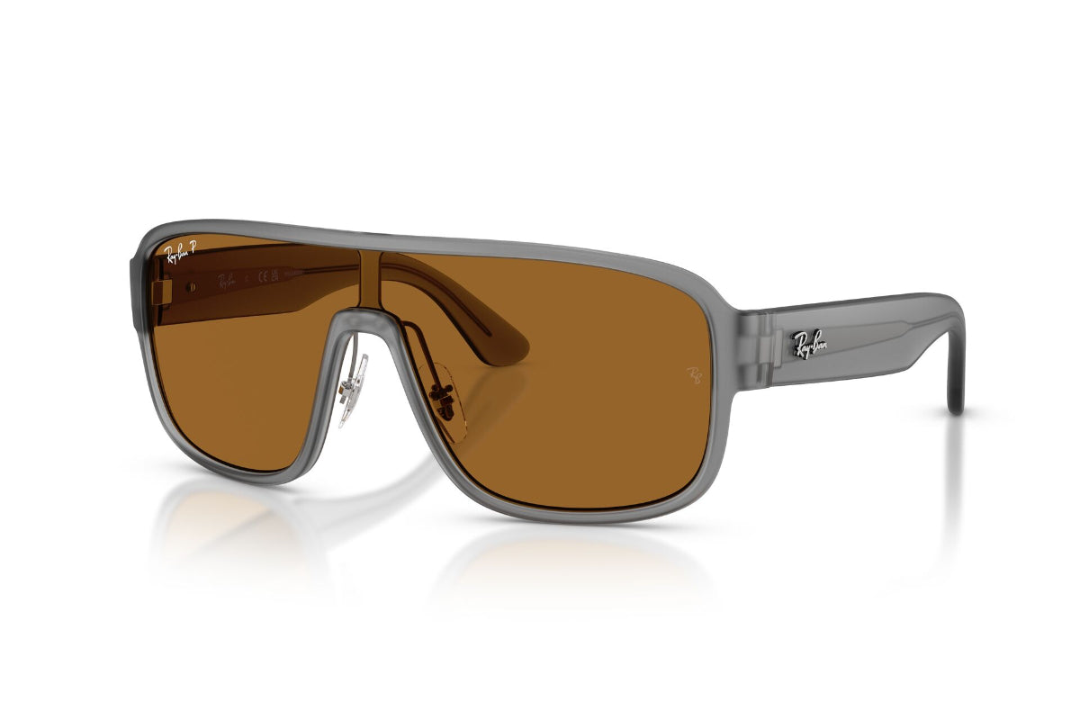 Ray-Ban Lentes de Sol Polarizados RB2229