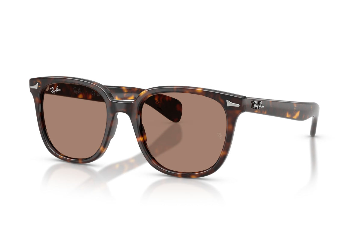 Ray-Ban Lentes de Sol Brunel Ii RB2235