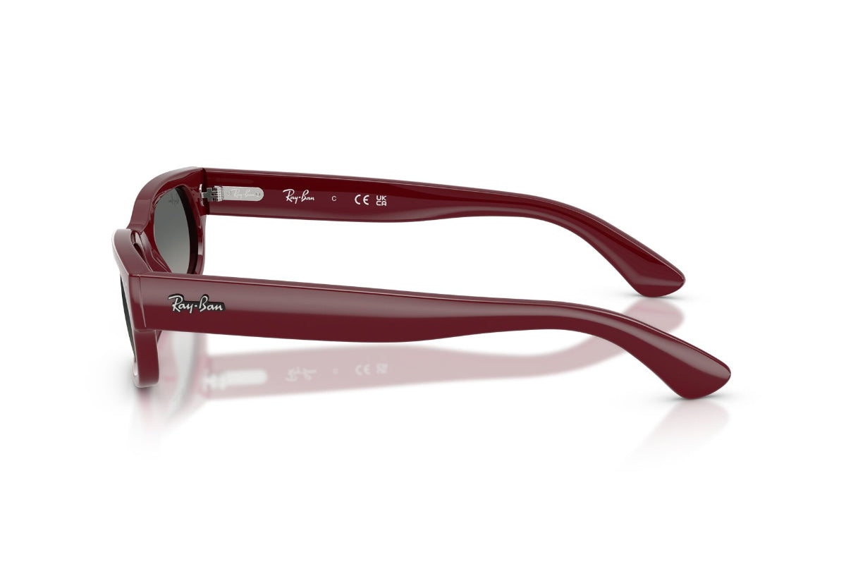 Ray-Ban Lentes de Sol Degradados RB2236