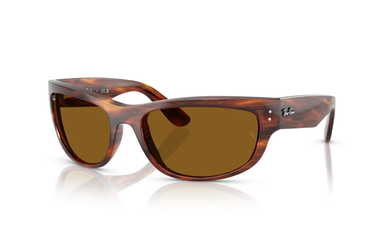 Ray-Ban Mega Balorama