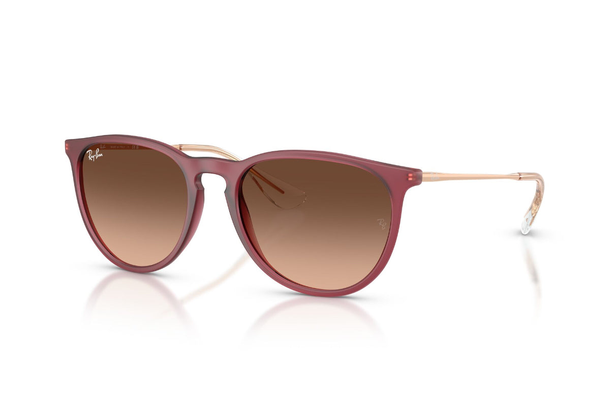 Ray-Ban Erika Degradados -NOVEDAD