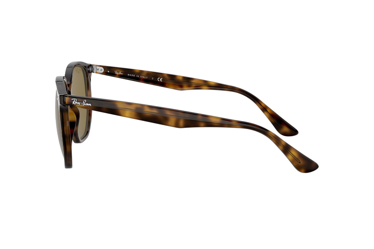 Ray-Ban Lentes de Sol RB4306