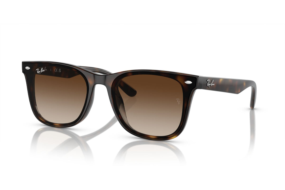 Ray-Ban Lentes de Sol RB4420