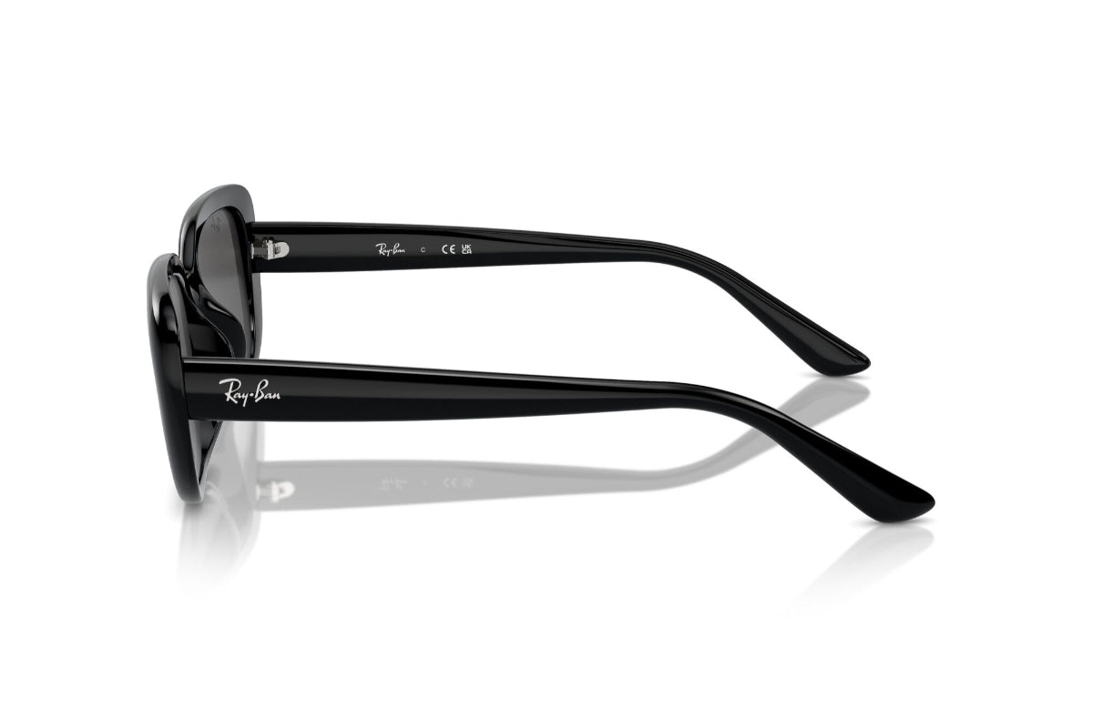 Ray-Ban Lentes de Sol
