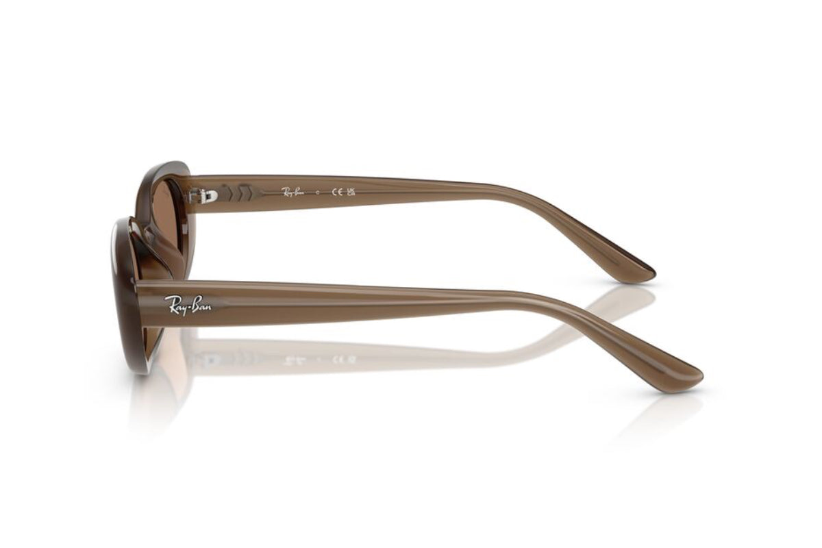 Ray-Ban Lentes de Sol