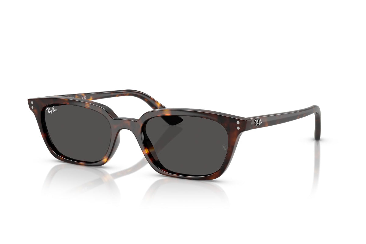 Ray-Ban Zaya -NOVEDAD