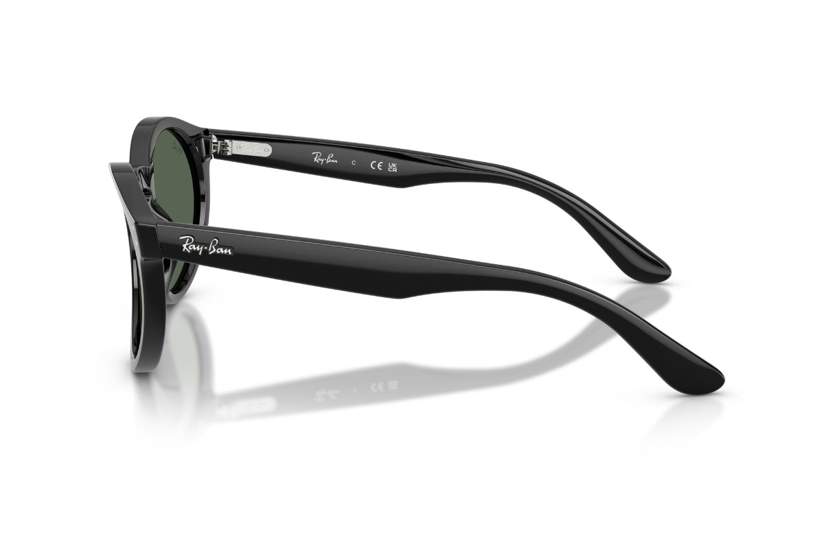 Ray-Ban Lentes de Sol RBR0505S