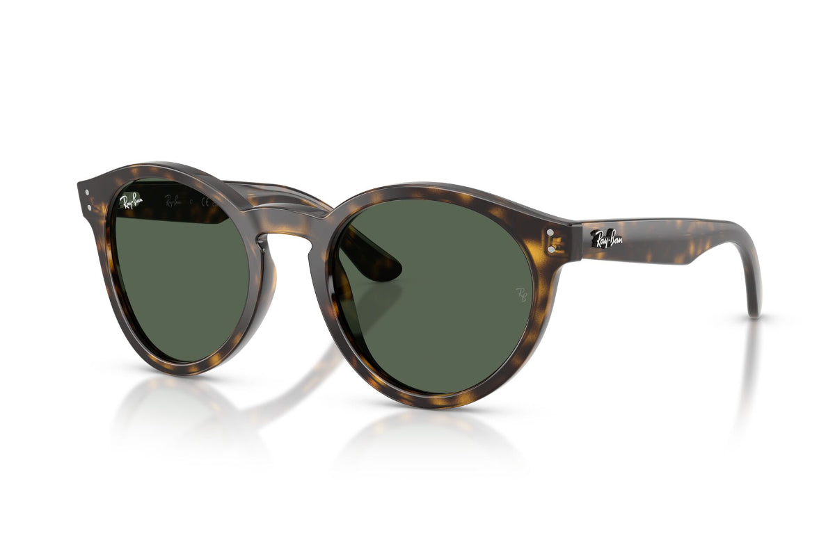 Ray-Ban Lentes de Sol RBR0505S