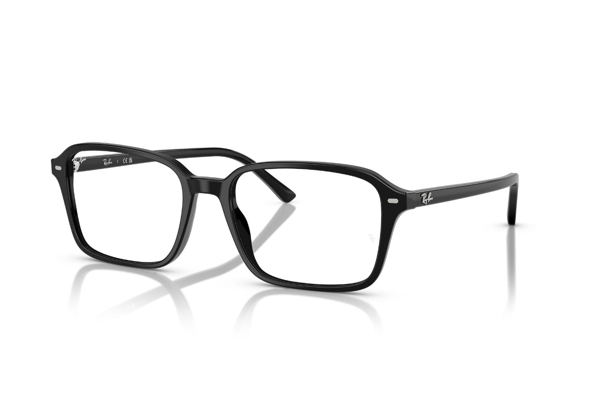 Ray-Ban Vista Raimond