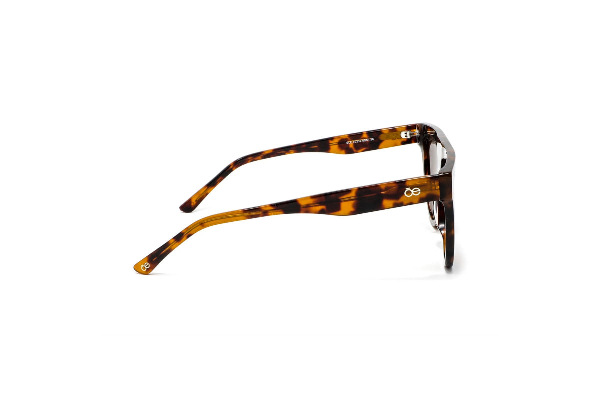 Cloe Lentes de Sol Polarizados SLE4023