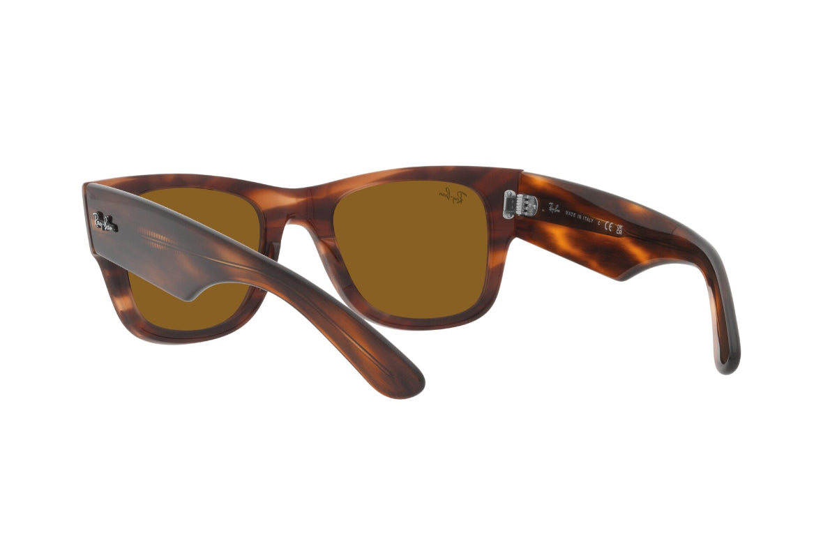 Ray-Ban Mega Wayfarer