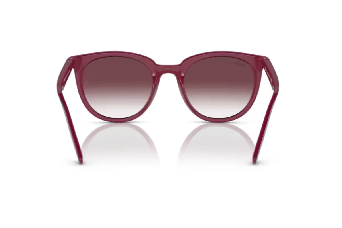 Ray-Ban Lentes de Sol Degradados RB4383L