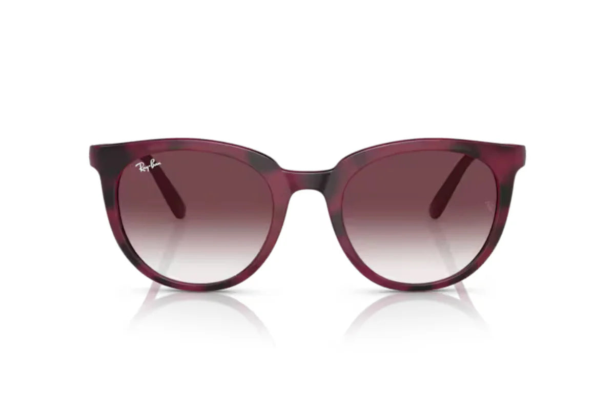 Ray-Ban Lentes de Sol Degradados RB4383L