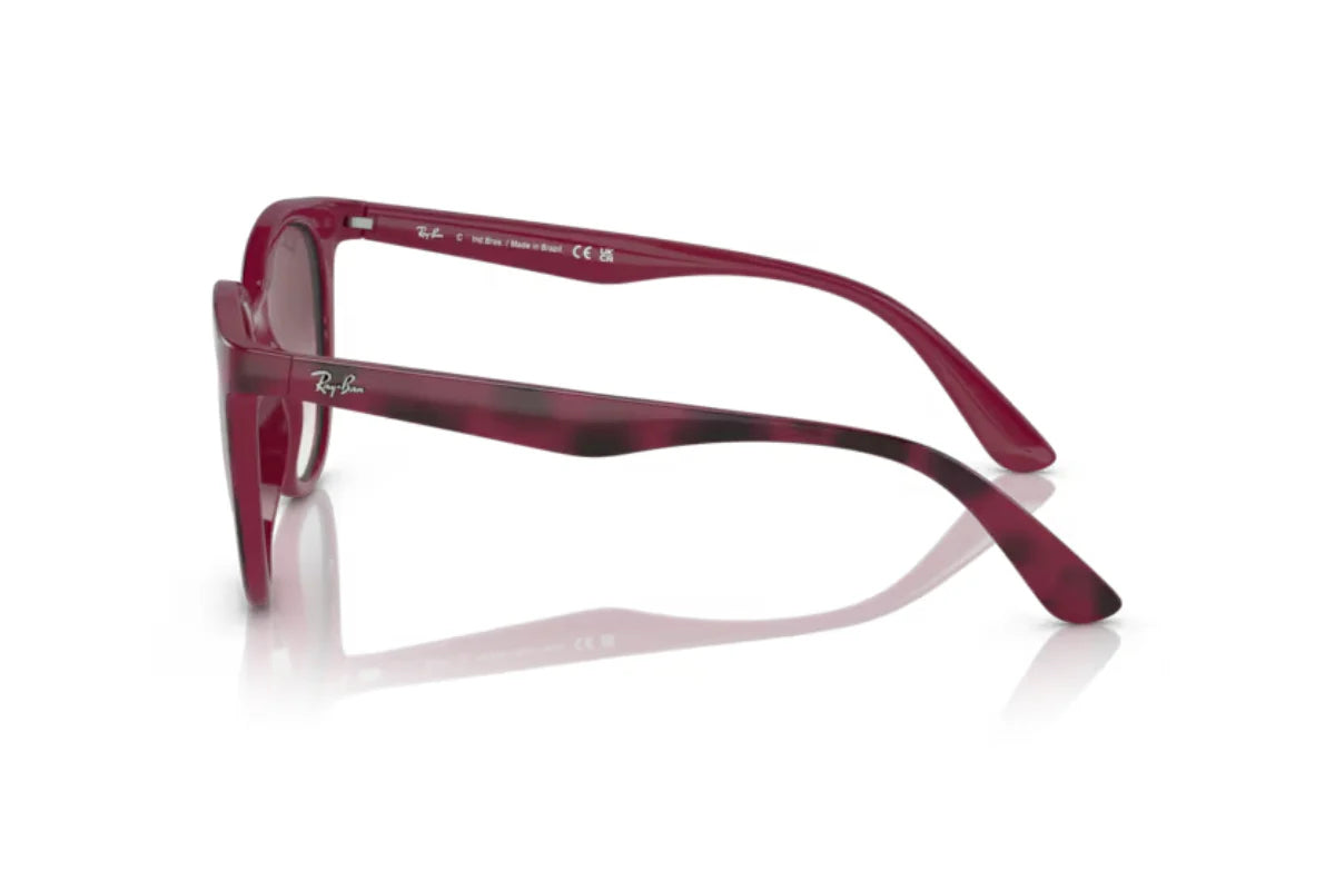 Ray-Ban Lentes de Sol Degradados RB4383L