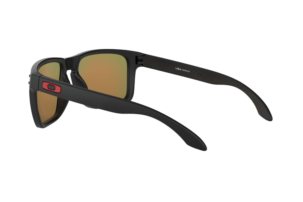 Oakley Holbrook XL