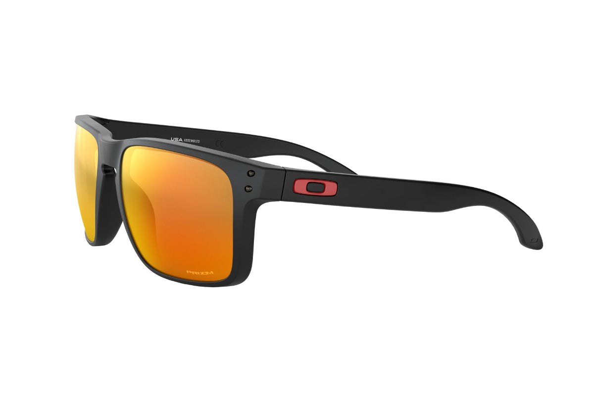 Oakley Holbrook XL