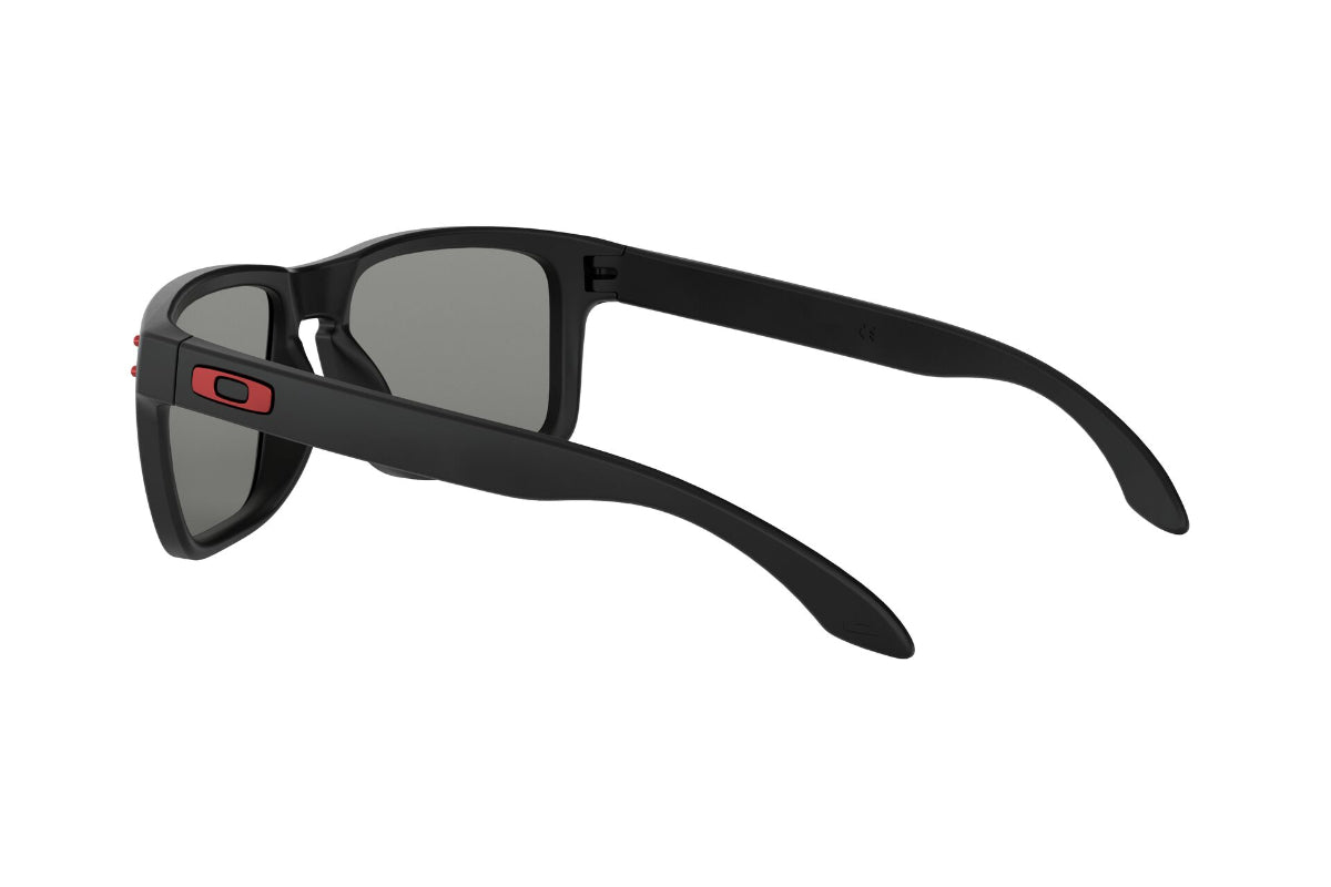 Oakley Holbrook