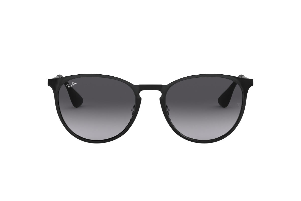 Ray-Ban Erika Metal