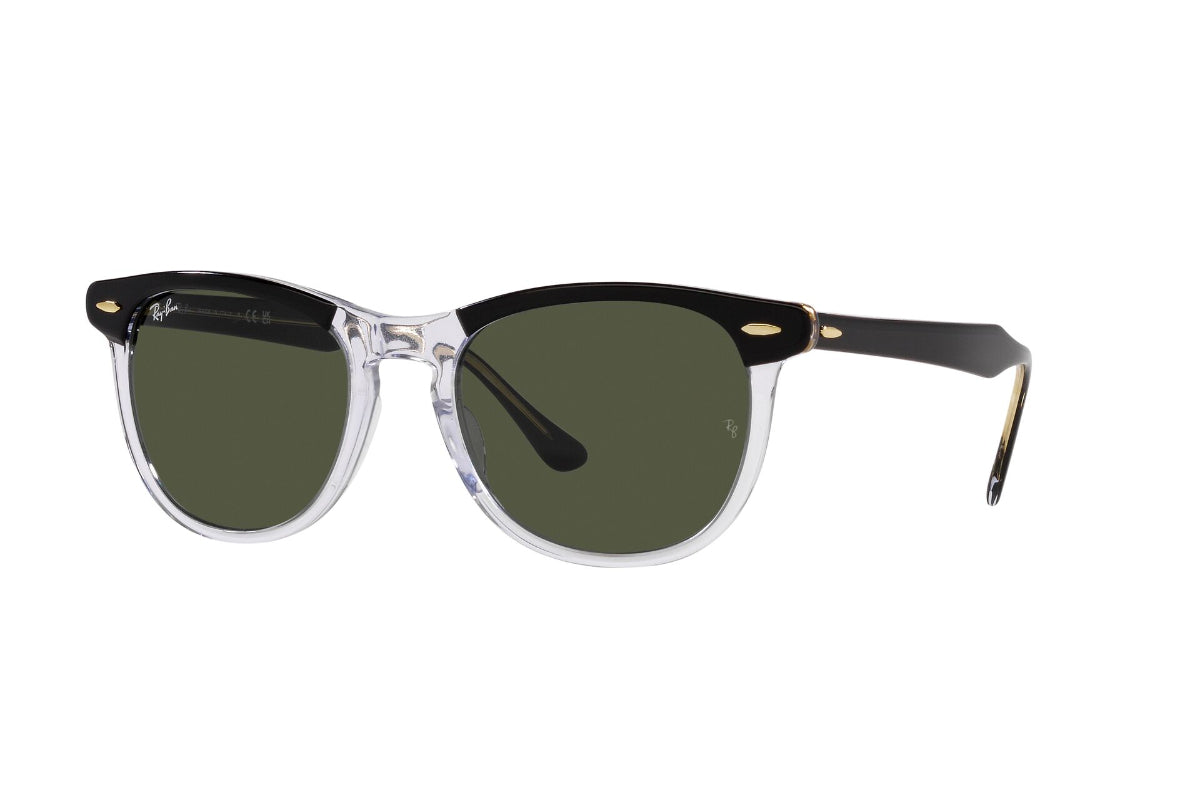 Ray-Ban Eagleeye