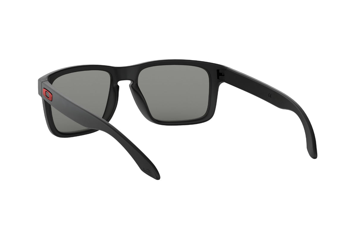 Oakley Holbrook