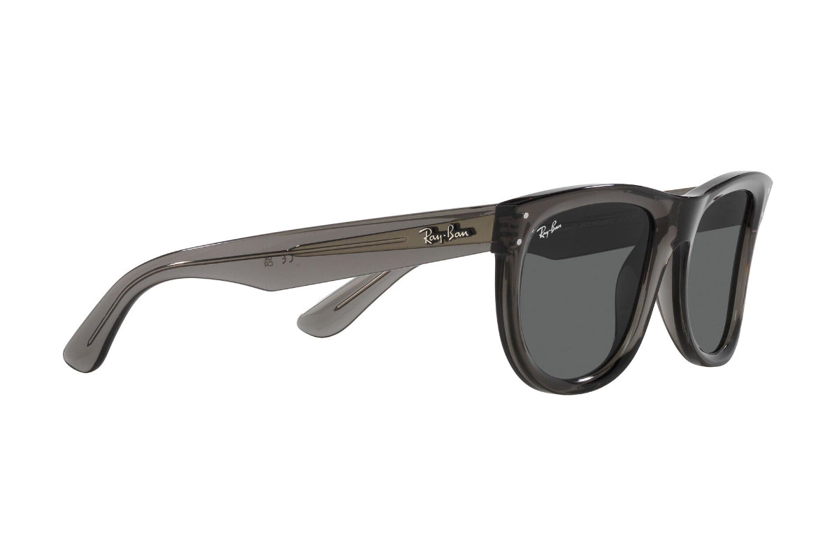 Ray-Ban Wayfarer Reverse