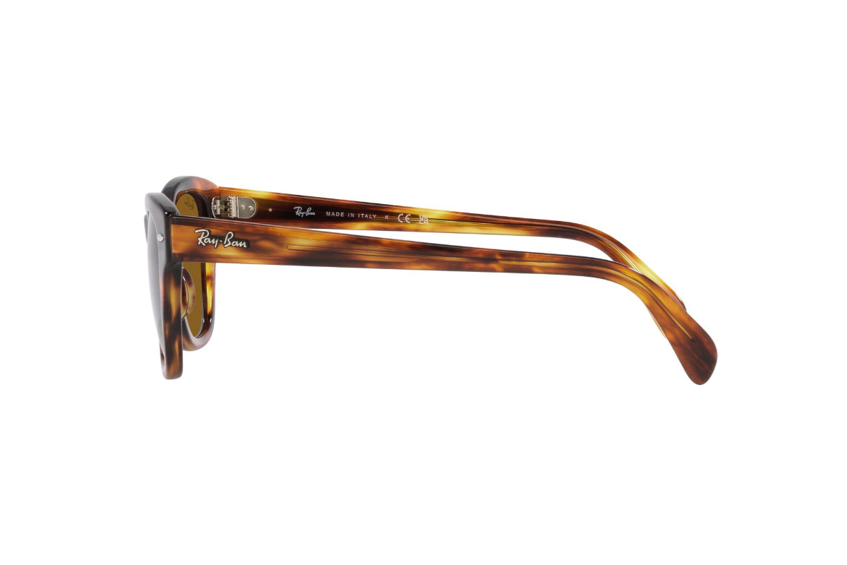 Ray-Ban Lentes de Sol