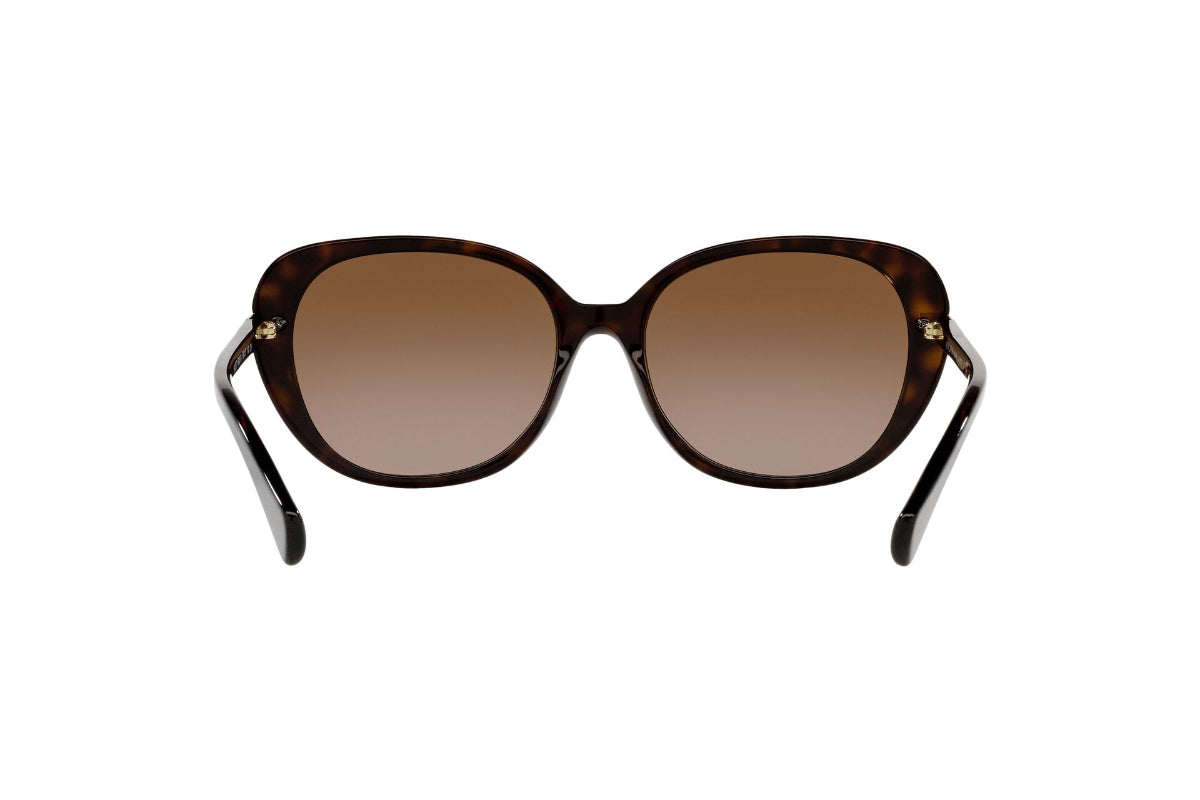 Ralph Lentes de Sol