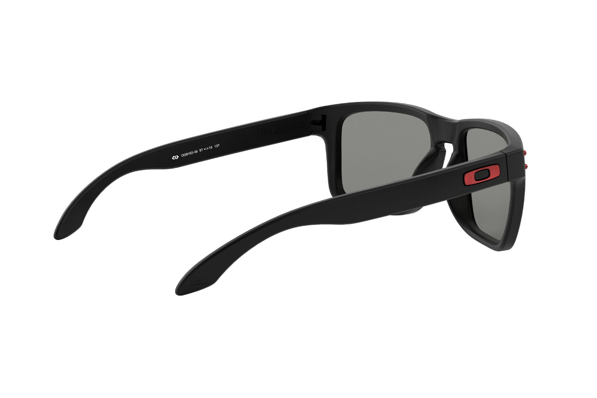 Oakley Holbrook