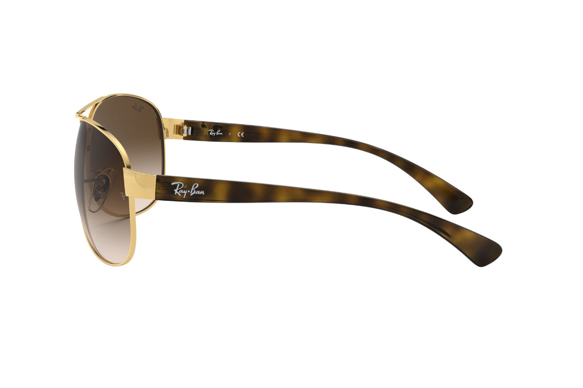 Ray-Ban Lentes de Sol