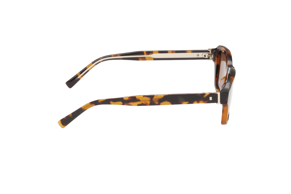Abercrombie & Fitch Lentes de Sol AF00036