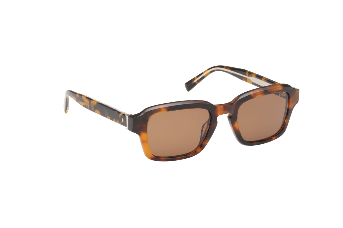 Abercrombie & Fitch Lentes de Sol AF00036