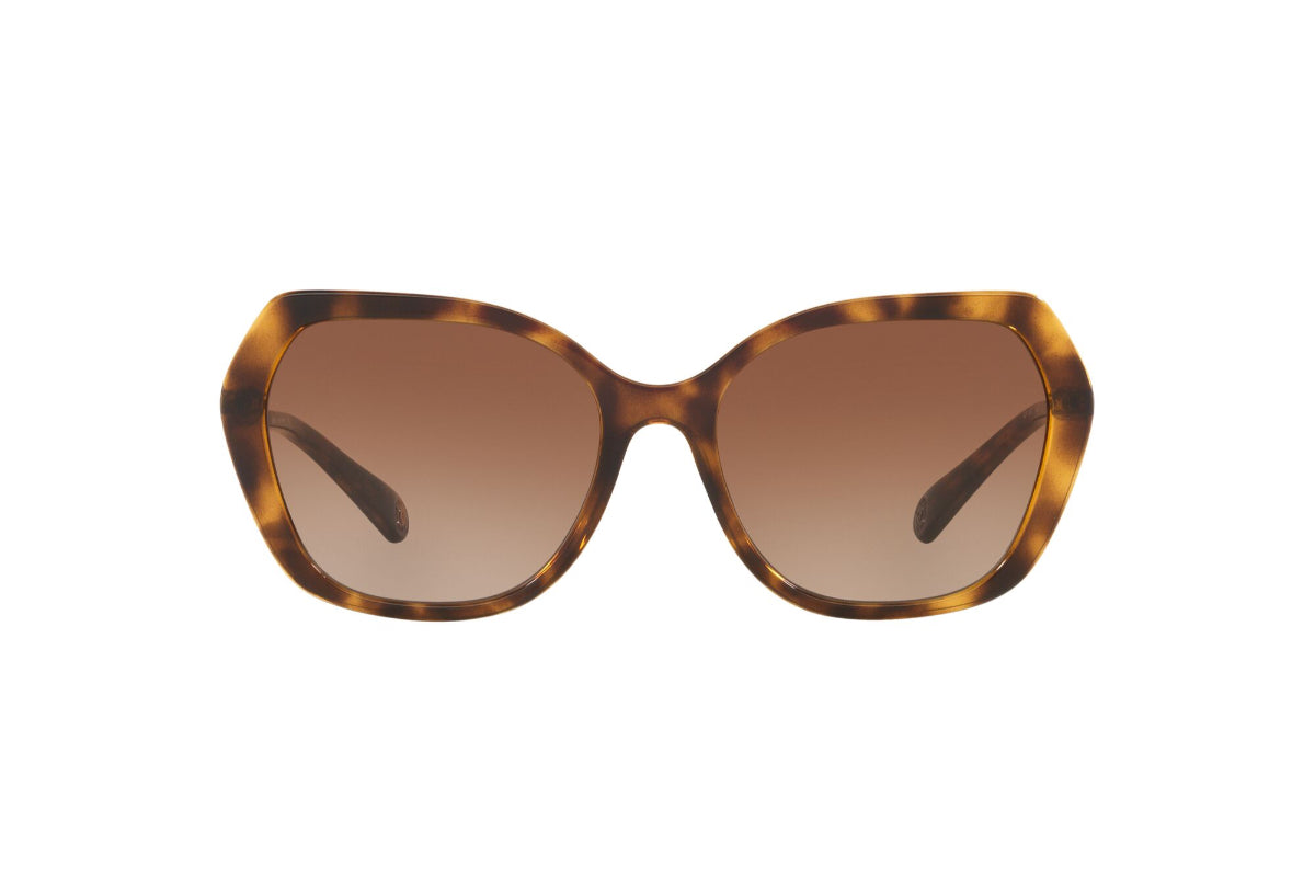 Kipling Lentes de Sol