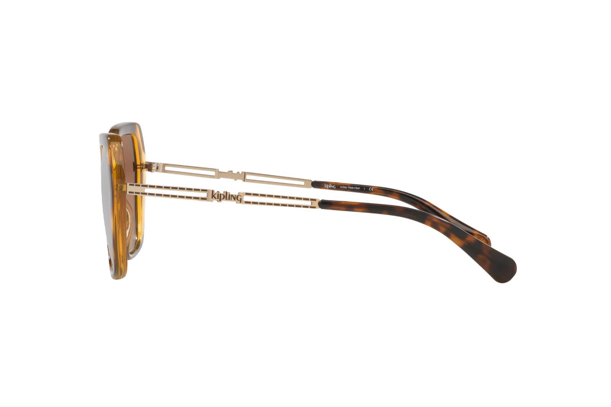 Kipling Lentes de Sol