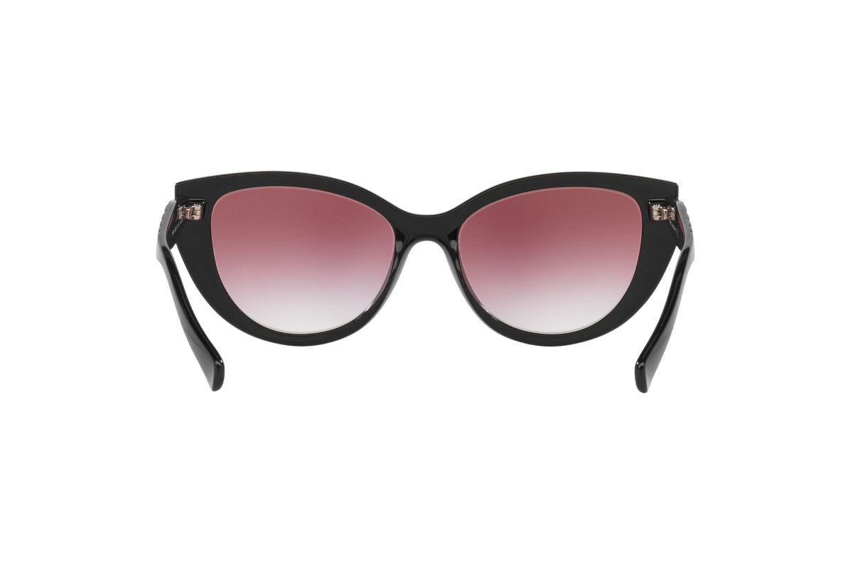 Kipling Lentes de Sol