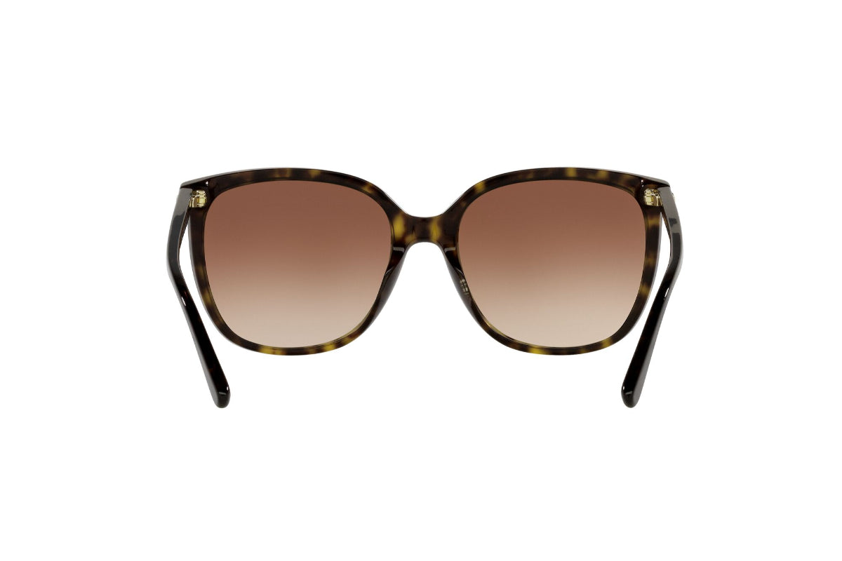 Michael Kors Lentes de Sol Anaheim Degradados MK2137U